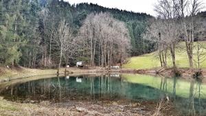 Jezero pri Jezerniku (Foto: Manca Korelc, Vir: mojajezera.si)